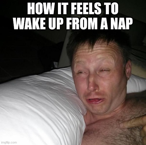 HOW IT FEELS TO WAKE UP FROM A NAP | image tagged in limmy waking up | made w/ Imgflip meme maker