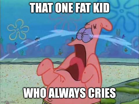 Patrick Star Crying. | THAT ONE FAT KID; WHO ALWAYS CRIES | image tagged in patrick star crying | made w/ Imgflip meme maker