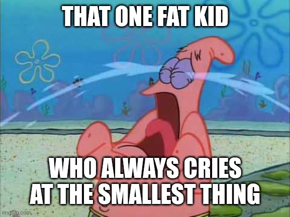 Patrick Star Crying. | THAT ONE FAT KID; WHO ALWAYS CRIES AT THE SMALLEST THING | image tagged in patrick star crying,memes | made w/ Imgflip meme maker