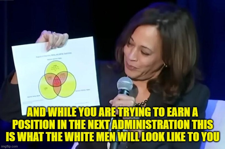 2028 | AND WHILE YOU ARE TRYING TO EARN A POSITION IN THE NEXT ADMINISTRATION THIS IS WHAT THE WHITE MEN WILL LOOK LIKE TO YOU | image tagged in kamala,2028,2026,kamala harris,dnc,presidential election | made w/ Imgflip meme maker