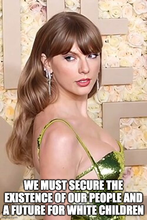 TS 14 | WE MUST SECURE THE EXISTENCE OF OUR PEOPLE AND A FUTURE FOR WHITE CHILDREN | image tagged in taylor swift | made w/ Imgflip meme maker