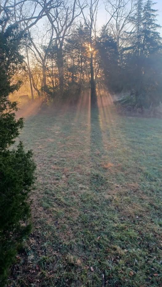 mornings Blank Meme Template