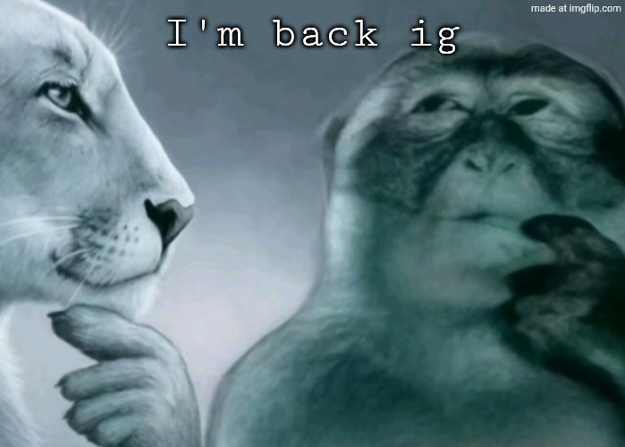 how's life been | I'm back ig | image tagged in is this ragebait | made w/ Imgflip meme maker