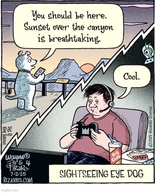 Bizarro Comics | image tagged in comics,bizarro comics,sightseeing eye dog,description | made w/ Imgflip meme maker