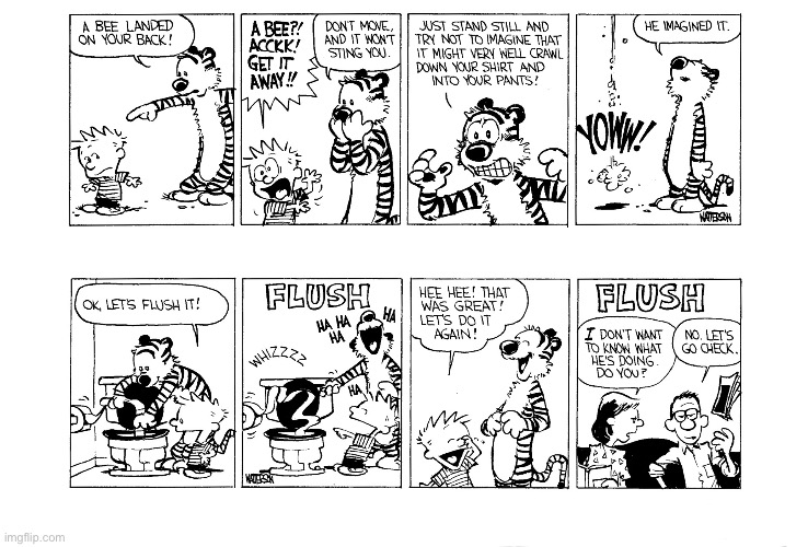 image tagged in calvin and hobbes,comics | made w/ Imgflip meme maker