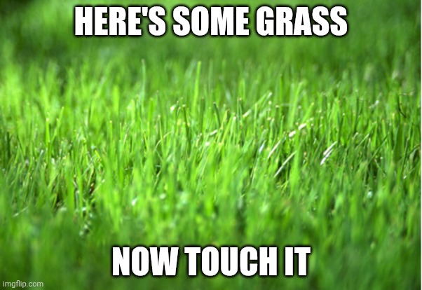 grass is greener | HERE'S SOME GRASS NOW TOUCH IT | image tagged in grass is greener | made w/ Imgflip meme maker