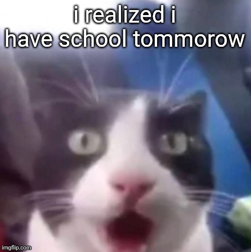 cat shocked | i realized i have school tommorow | image tagged in cat shocked | made w/ Imgflip meme maker
