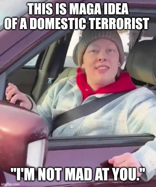 Maga idea of domestic terrorist | THIS IS MAGA IDEA OF A DOMESTIC TERRORIST; "I'M NOT MAD AT YOU." | image tagged in maga,good,terrorist | made w/ Imgflip meme maker