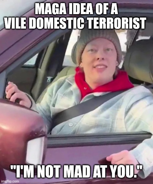 Maga idea of a terrorist | MAGA IDEA OF A VILE DOMESTIC TERRORIST; "I'M NOT MAD AT YOU." | image tagged in maga,domestic terrorist | made w/ Imgflip meme maker