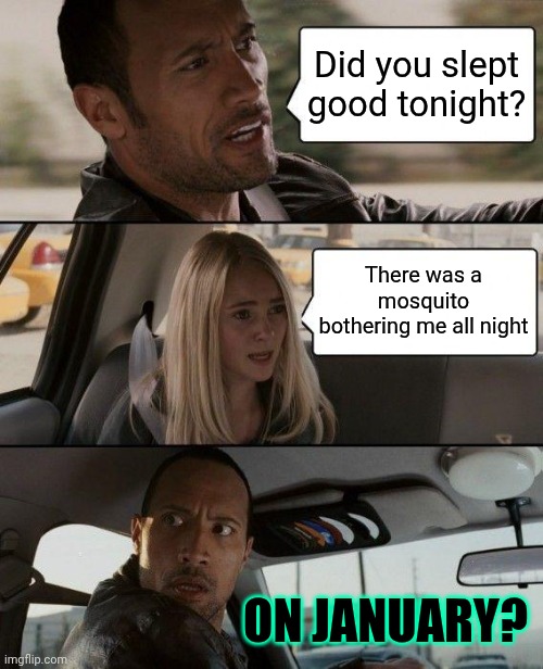 The Rock Driving Meme | Did you slept good tonight? There was a mosquito bothering me all night; ON JANUARY? | image tagged in memes,the rock driving | made w/ Imgflip meme maker