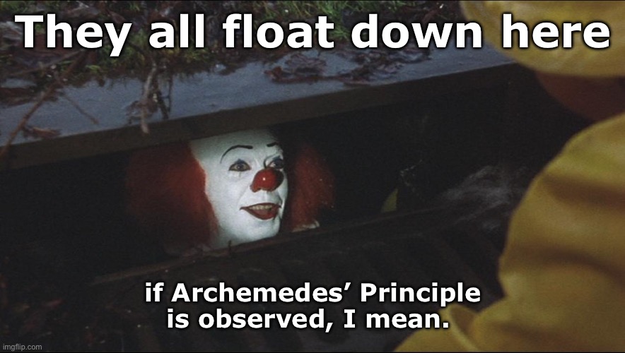 Fair Enough | They all float down here; if Archemedes’ Principle is observed, I mean. | image tagged in they all float here | made w/ Imgflip meme maker