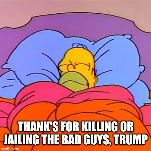 Thank you very much! | THANK'S FOR KILLING OR JAILING THE BAD GUYS, TRUMP | image tagged in homer simpson sleeping happy,memes,trump,justice | made w/ Imgflip meme maker