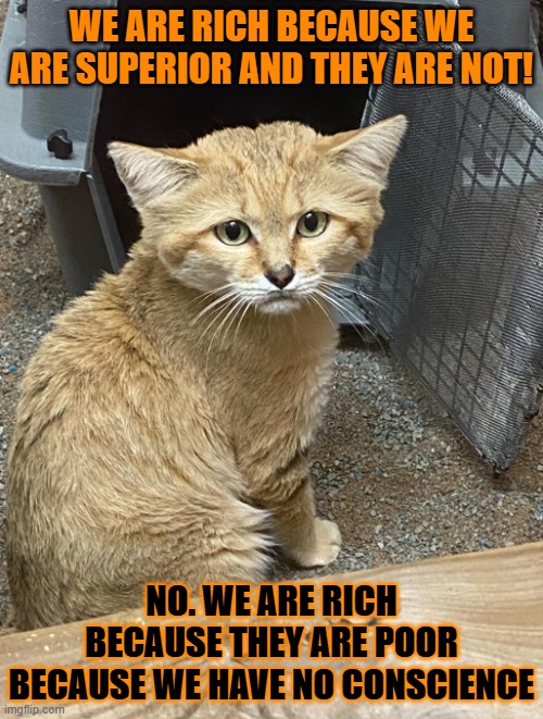 This #lolcat wonders what's the real reason that we are rich | WE ARE RICH BECAUSE WE ARE SUPERIOR AND THEY ARE NOT! NO. WE ARE RICH BECAUSE THEY ARE POOR BECAUSE WE HAVE NO CONSCIENCE | image tagged in lolcat,slavery,wealth | made w/ Imgflip meme maker