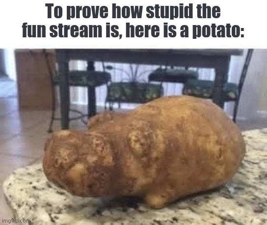 Watch this get to the front page | To prove how stupid the fun stream is, here is a potato: | image tagged in stupid,fun stream,potato,hippo | made w/ Imgflip meme maker