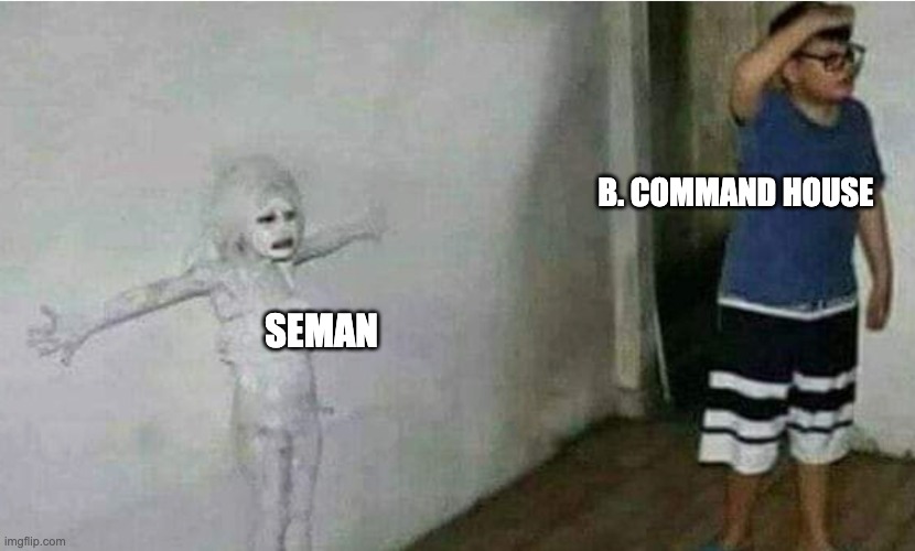 Hidden Meme | B. COMMAND HOUSE; SEMAN | image tagged in hidden | made w/ Imgflip meme maker