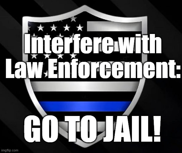 Interfere with Law Enforcement: GO TO JAIL | Interfere with Law Enforcement:; GO TO JAIL! | image tagged in police,ice,border patrol | made w/ Imgflip meme maker