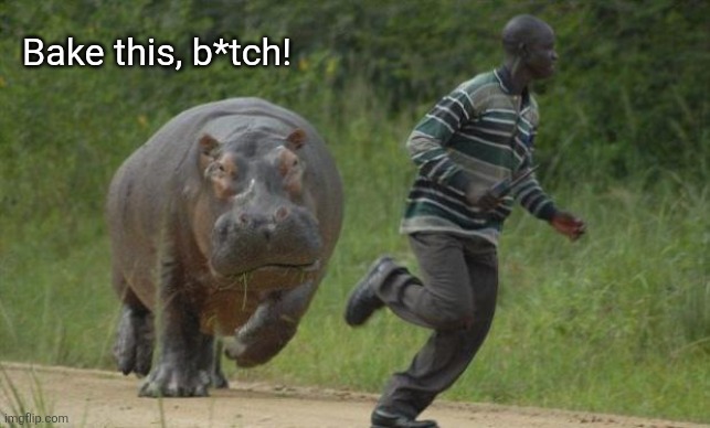 hippo chase | Bake this, b*tch! | image tagged in hippo chase | made w/ Imgflip meme maker