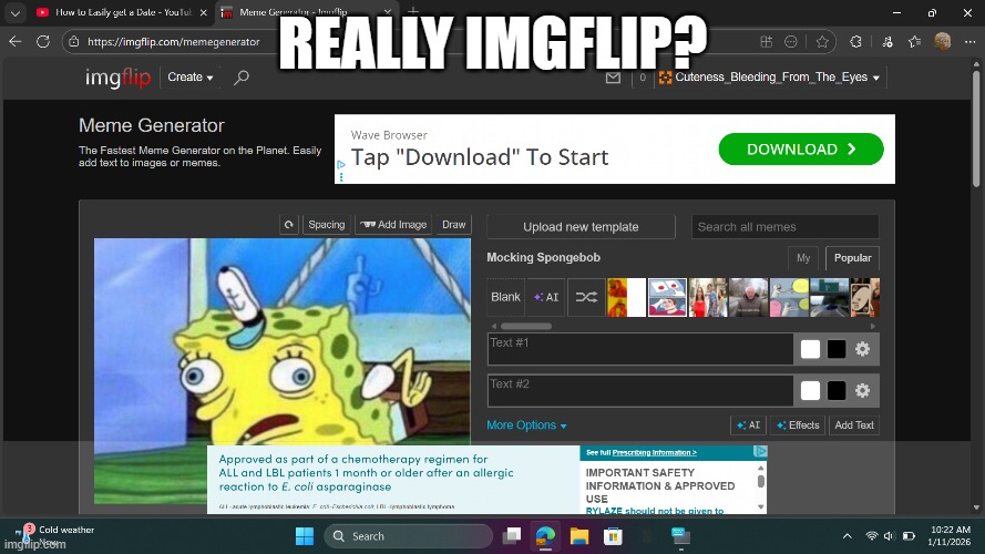 The Ads Came Back | REALLY IMGFLIP? | image tagged in hey,imgflip,remove,ads,right,now | made w/ Imgflip meme maker