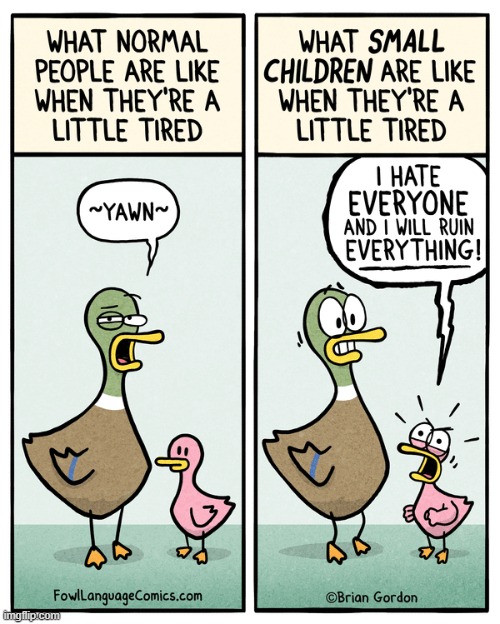 Fowl language | image tagged in comics | made w/ Imgflip meme maker