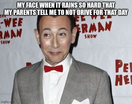 Pee Wee smiles | MY FACE WHEN IT RAINS SO HARD THAT MY PARENTS TELL ME TO NOT DRIVE FOR THAT DAY | image tagged in pee wee smiles | made w/ Imgflip meme maker