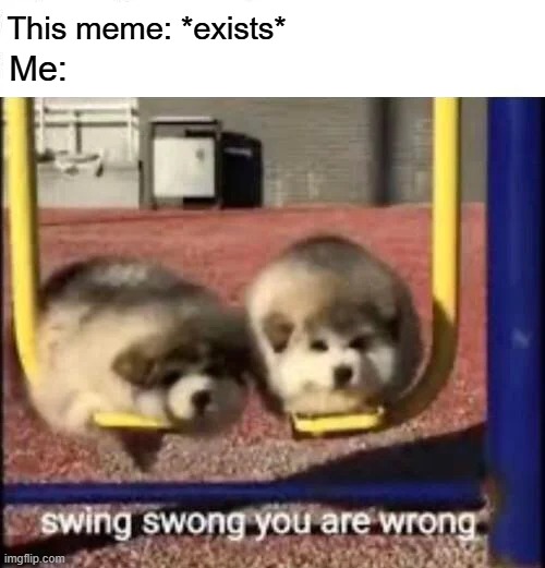SWING SWONG YOU ARE WRONG | This meme: *exists* Me: | image tagged in swing swong you are wrong | made w/ Imgflip meme maker