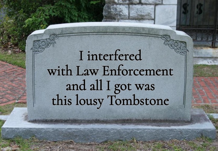 I interfered with Law Enforcement and all I got was this lousy Tombstone | image tagged in gravestone | made w/ Imgflip meme maker