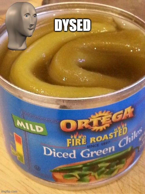 Diced? | DYSED | image tagged in you had one job | made w/ Imgflip meme maker