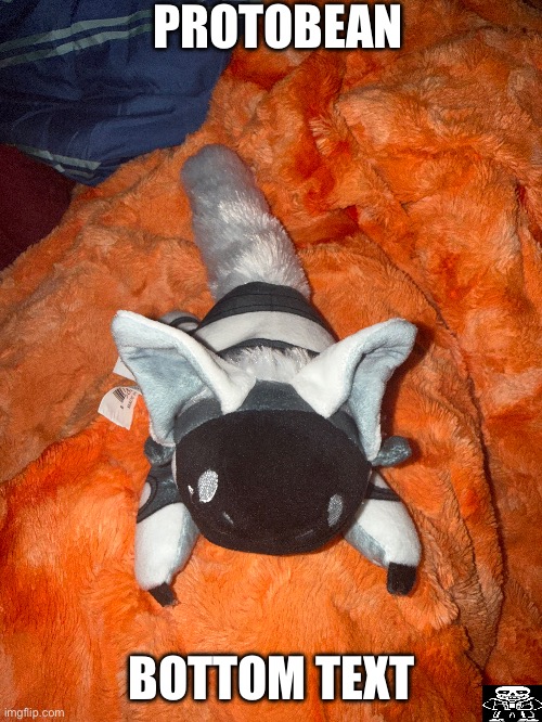 I have 2 or 3 of these, but idk where the others are | PROTOBEAN; BOTTOM TEXT | made w/ Imgflip meme maker