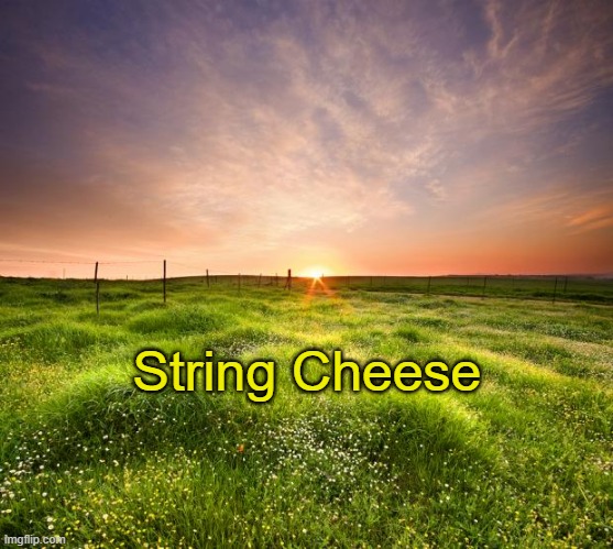 String Cheese | String Cheese | image tagged in landscapemaymay,skamtebord,matt rose | made w/ Imgflip meme maker