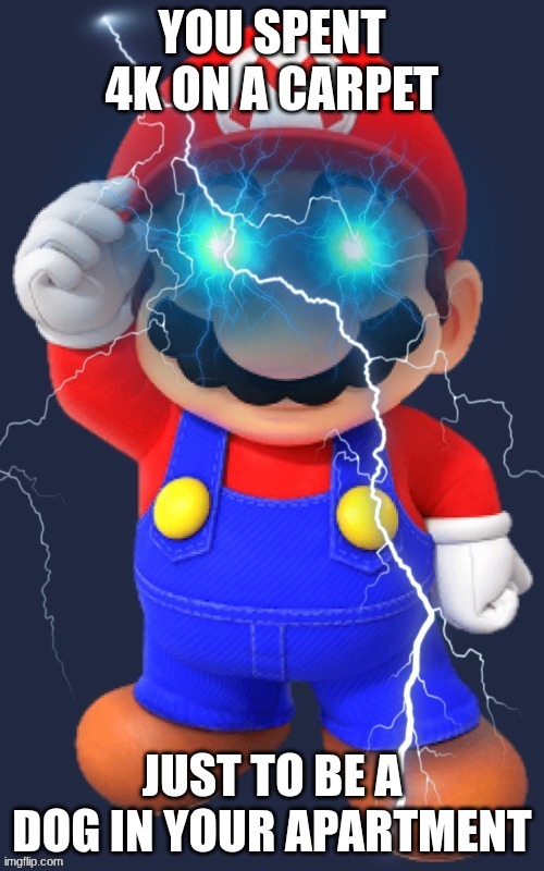 guess the song | YOU SPENT 4K ON A CARPET; JUST TO BE A DOG IN YOUR APARTMENT | image tagged in ultimate ario | made w/ Imgflip meme maker