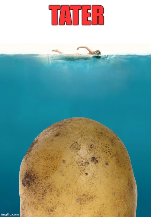 Jaws blank template | TATER | image tagged in jaws blank template | made w/ Imgflip meme maker