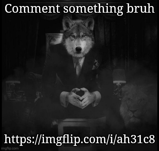 Wolf on a chair | Comment something bruh; https://imgflip.com/i/ah31c8 | image tagged in wolf on a chair | made w/ Imgflip meme maker