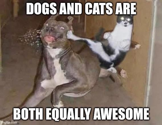 TW: OPINION | DOGS AND CATS ARE; BOTH EQUALLY AWESOME | image tagged in get rekt | made w/ Imgflip meme maker