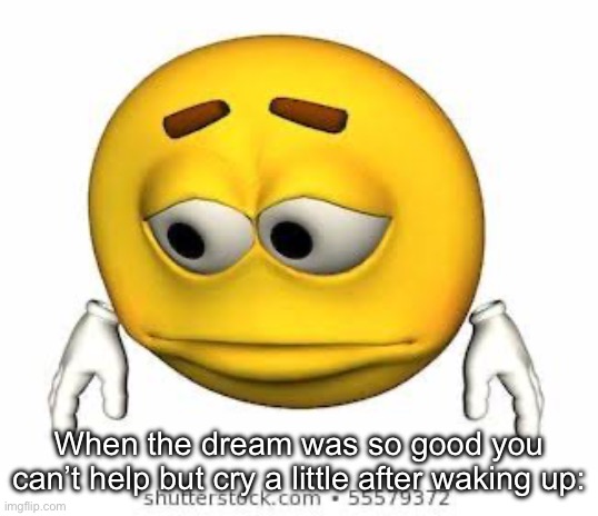 Makes you realize how ass your life is | When the dream was so good you can’t help but cry a little after waking up: | image tagged in sad stock emoji | made w/ Imgflip meme maker