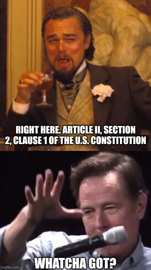 WHATCHA GOT? RIGHT HERE. ARTICLE II, SECTION 2, CLAUSE 1 OF THE U.S. CONSTITUTION | image tagged in memes,laughing leo,brian cranston mic drop | made w/ Imgflip meme maker