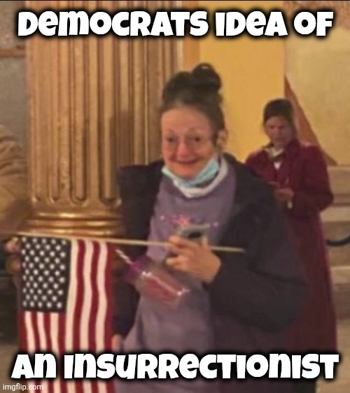January 6 Insurrectionist | Democrats idea of an Insurrectionist | image tagged in january 6 insurrectionist | made w/ Imgflip meme maker