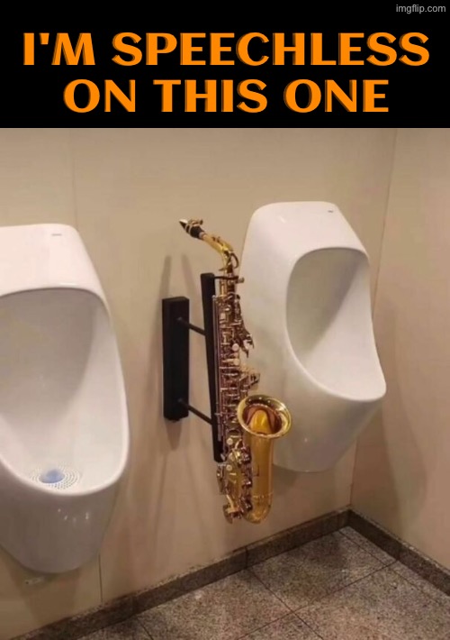 Why The Hell?? | I'M SPEECHLESS ON THIS ONE | image tagged in excuse me wtf,cursed images,what a terrible day to have eyes,saxophone,urinal,speechless | made w/ Imgflip meme maker