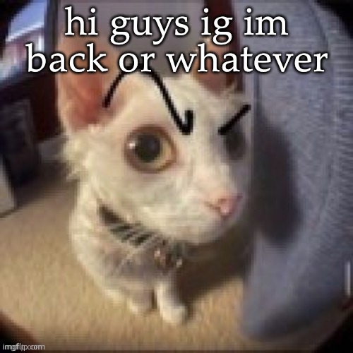 Side Eye Eyebrow Raise Cat | hi guys ig im back or whatever | image tagged in side eye eyebrow raise cat | made w/ Imgflip meme maker