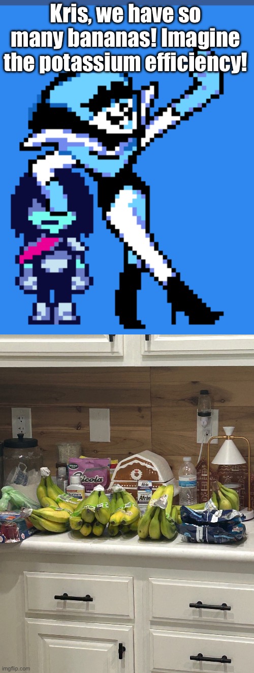 Holy potassium. | Kris, we have so many bananas! Imagine the potassium efficiency! | made w/ Imgflip meme maker