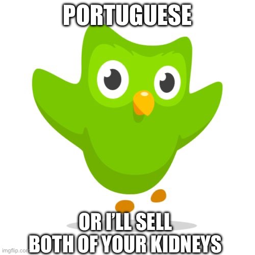 OH NO | PORTUGUESE; OR I’LL SELL BOTH OF YOUR KIDNEYS | image tagged in things duolingo teaches you | made w/ Imgflip meme maker