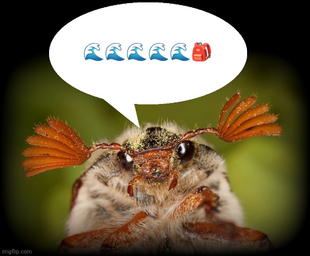 1 6 | 🌊🌊🌊🌊🌊🎒 | image tagged in doodlebug/odd announcement temp | made w/ Imgflip meme maker