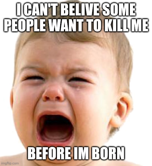 Sorry...not | I CAN'T BELIVE SOME PEOPLE WANT TO KILL ME; BEFORE IM BORN | image tagged in baby cryin,pro life | made w/ Imgflip meme maker