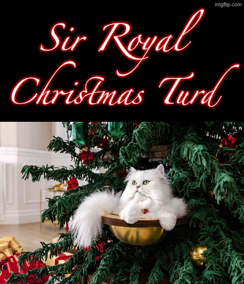 Royal Turd | Sir Royal; Christmas Turd | image tagged in cats,funny cats,turds,superior royalty,christmas,sir | made w/ Imgflip meme maker