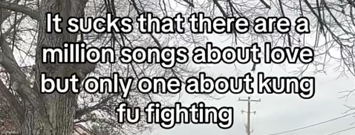 image tagged in everybody was kung fu fighting,dududududundududun | made w/ Imgflip meme maker