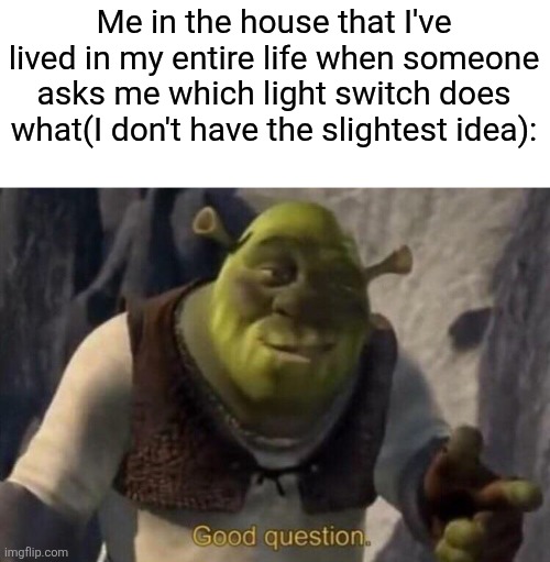 Shrek good question | Me in the house that I've lived in my entire life when someone asks me which light switch does what(I don't have the slightest idea): | image tagged in shrek good question | made w/ Imgflip meme maker
