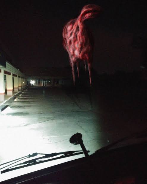 The Lamb Blank Meme Template