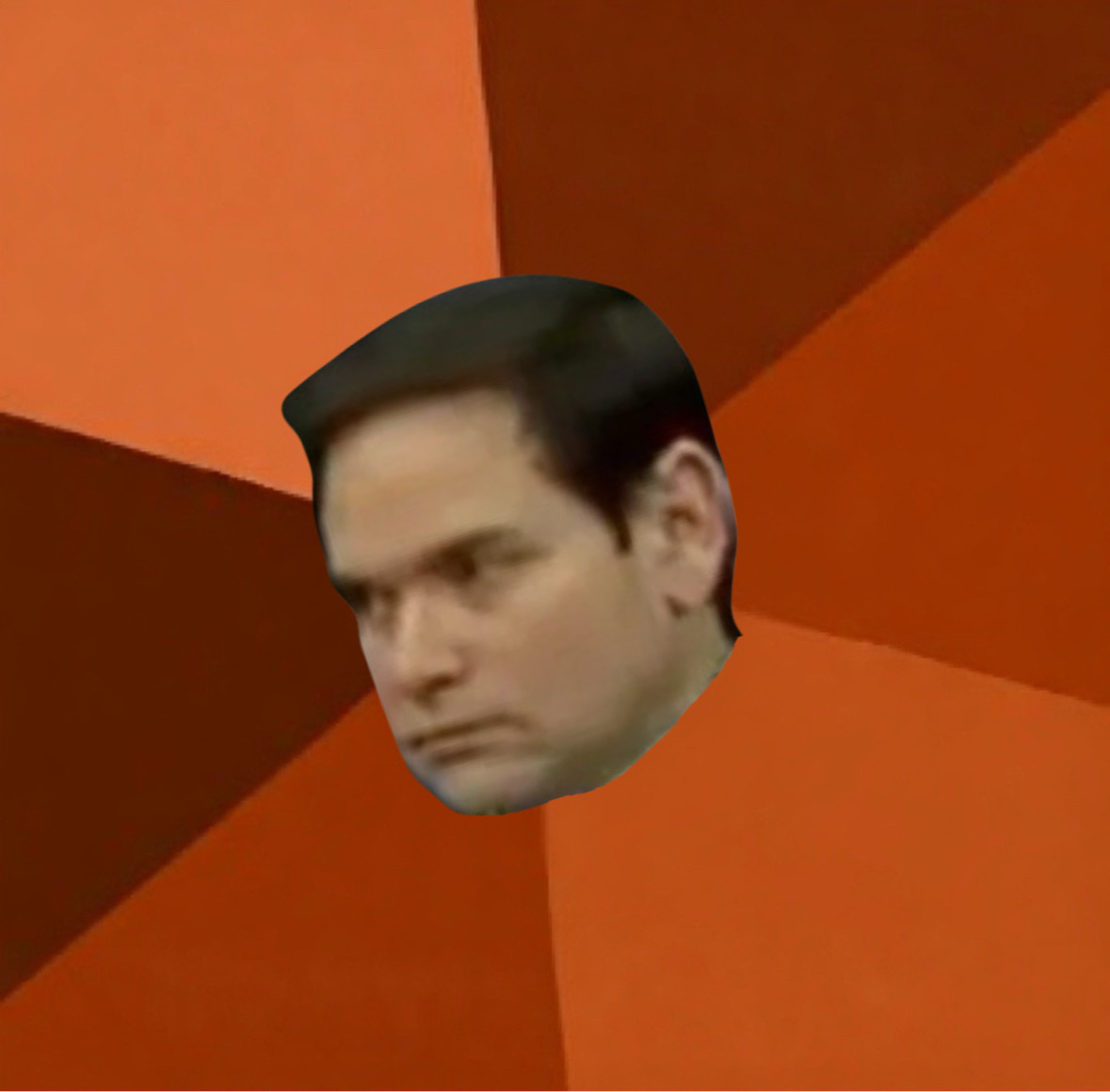 Rubio, Do Everything Blank Meme Template