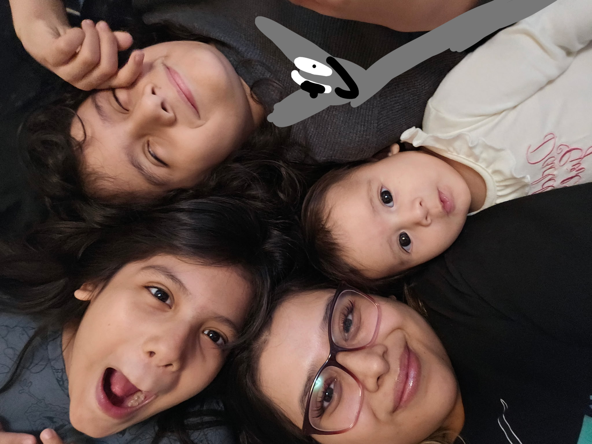 Long horse Gray Blank Meme Template