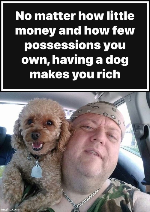 Having a dog makes you rich | image tagged in cute dog,poodle,pets | made w/ Imgflip meme maker