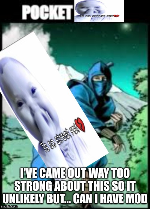 /j | I'VE CAME OUT WAY TOO STRONG ABOUT THIS SO IT UNLIKELY BUT... CAN I HAVE MOD | image tagged in pocket ts so street rat | made w/ Imgflip meme maker